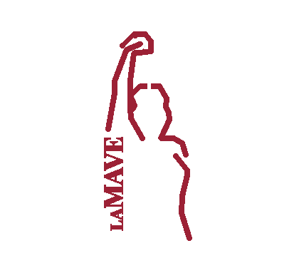 Perfil de LAMAVE con el puño levantado